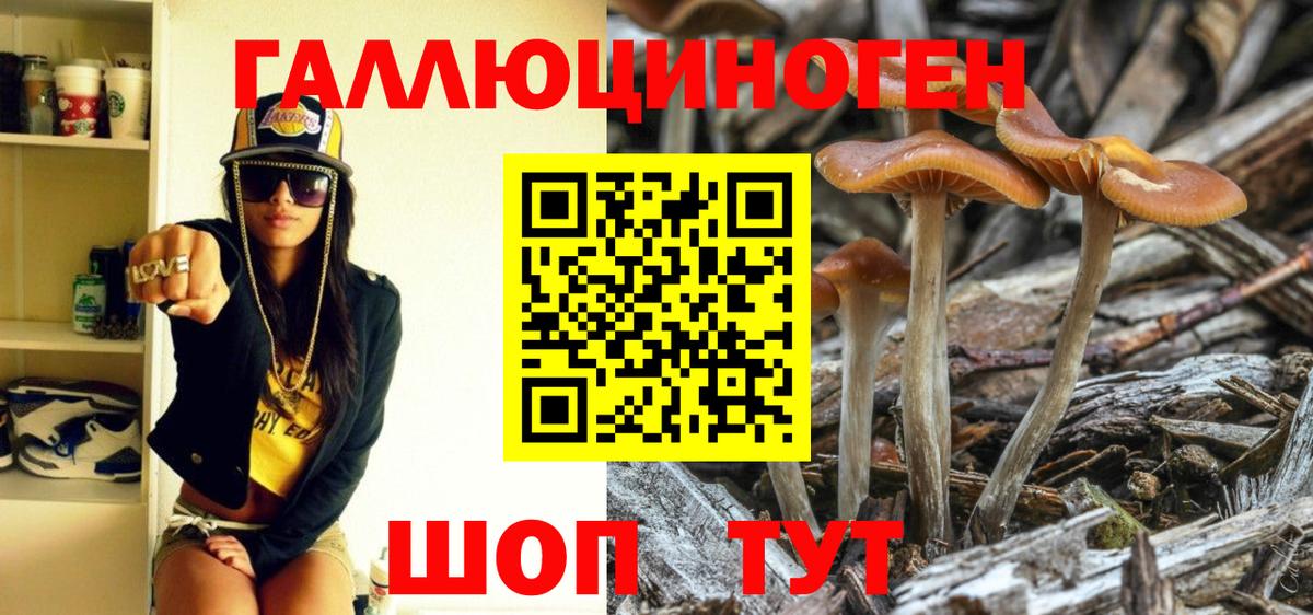 Галлюциногенные грибы мицелий  Вход с VPN  Тольятти  Галлюциногенные грибы MAGIC MUSHROOMS 